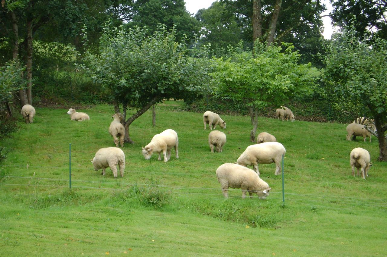 Dolton Meadowland Farm B&B 외부 사진
